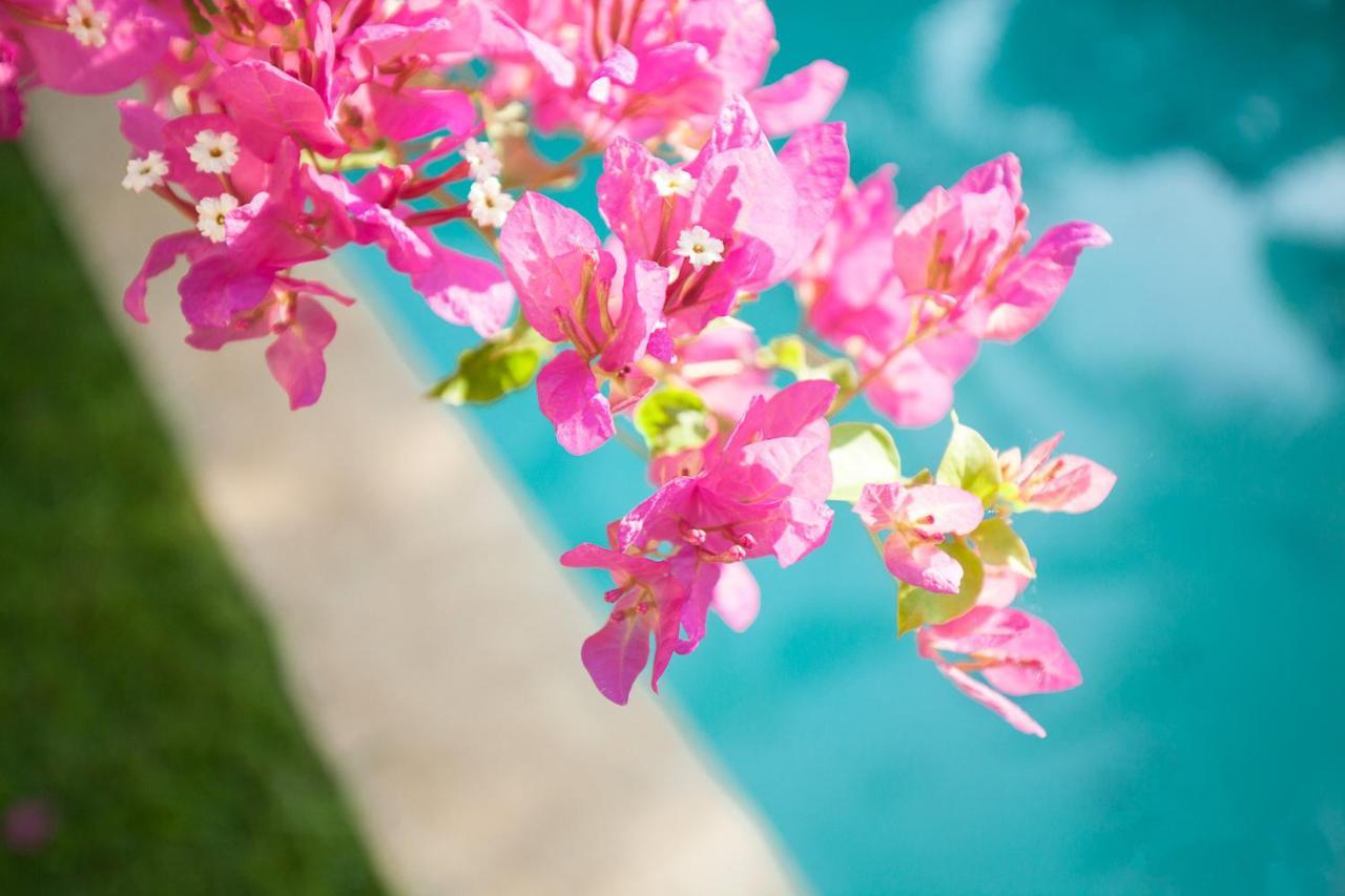 The Bingin Beach Villas' Private Villas Uluwatu Exterior foto